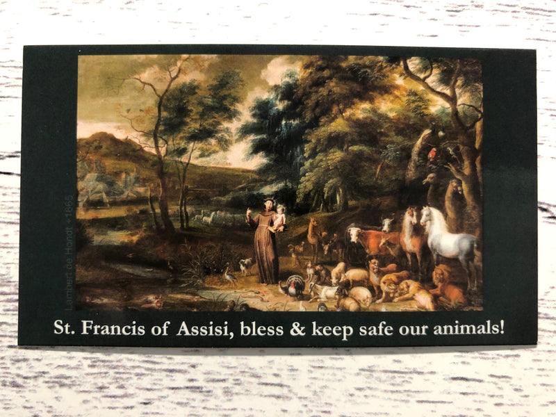 St. Francis - Blessing of Animals