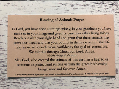 St. Francis - Blessing of Animals
