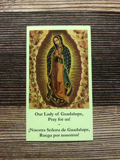 Our Lady of Guadalupe (Bilingual)