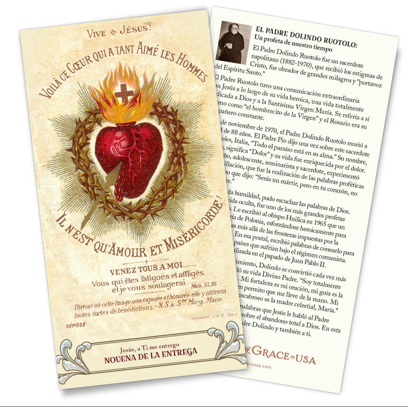 Surrender Novena Trifold Holy Card